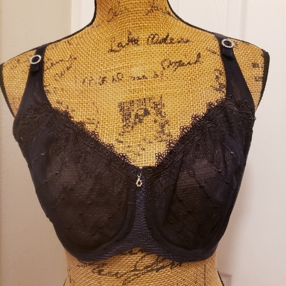 Whimsy Sheer Black Lace Bra 36DDD Sexy Valentine Lingerie Rhinestone Detail EUC - Picture 1 of 7